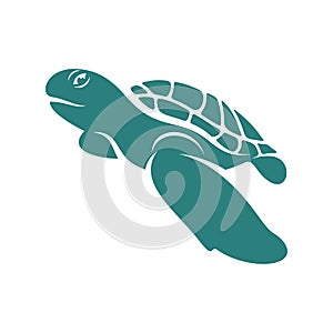 Turtle design vector illustration, Creative Turtle logo design concepts template, icon symbol