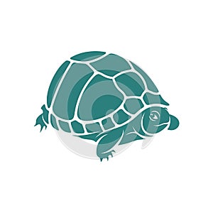 Turtle design vector illustration, Creative Turtle logo design concepts template, icon symbol