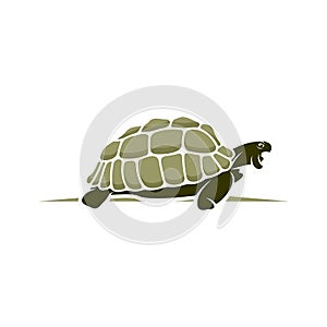 Turtle design vector illustration, Creative Turtle logo design concepts template, icon symbol