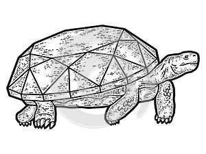 Turtle with a diamond. Engraving vector illustration. Sketch scratch board imitation.