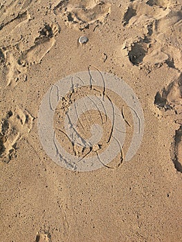 Turtle figure drawn in sand