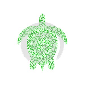 Turtle in green design