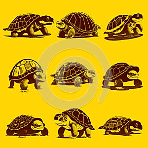 Turtle hand drawn sketch Vector illustration