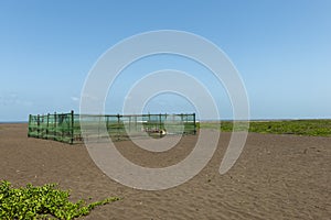 Turtle Hatching point on Velas beach in Raigad district,Maharashtra,India photo