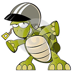 Turtle with a helmet