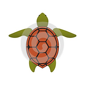 Turtle icon. Cartoon color style drawing. Sea animal. Tortoise symbol. Logo graphic design isolated on white background.