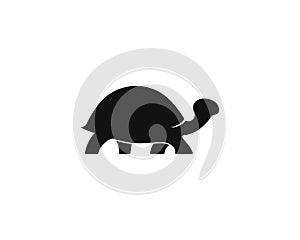 Turtle icon illustration design