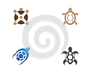 Turtle icon logo design vector