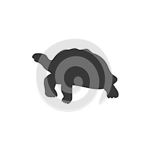 Turtle icon, vector illustration modern flat style