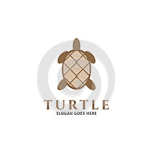 Turtle Icon Vector Logo Template Illustration Design