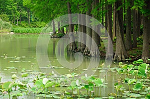 Turtle Island Lake Tai Wuxi China