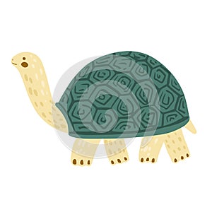 Turtle isolated on white background. Cute cartoon character tortoise