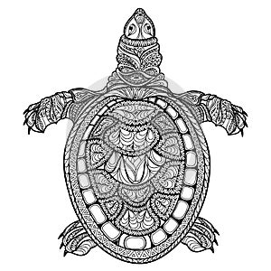 Turtle isolated. Zentangle tribal stylized turtle. Doodle