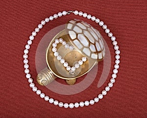 Turtle jewelry box and pearl necklace