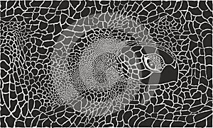 Turtle - Kareta in the background