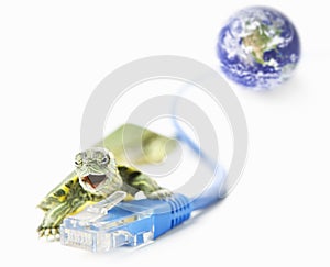 Turtle, Lan cable and world globe