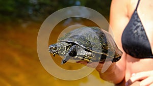 Turtle Lies on the Woman Hand on Backdrop of River with Green Vegetation