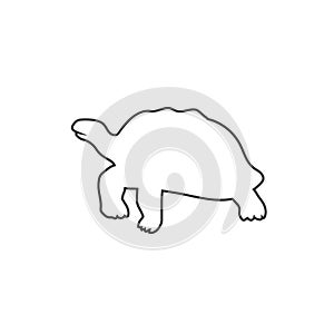 Turtle line icon, vector illustration in flat