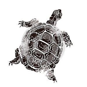 Turtle in linocut retro style, vintage silhouette of turtle on white