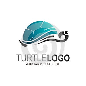 Turtle Logo abstract design vector