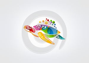Turtle logo photo