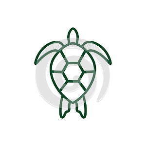 Turtle logo design. Animal icon illustration,