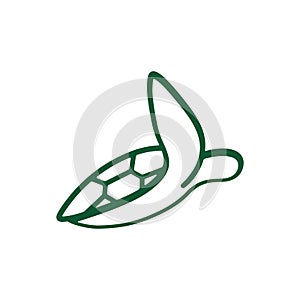 Turtle logo design. Animal icon illustration,