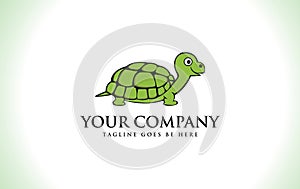 Turtle logo design for brand and business