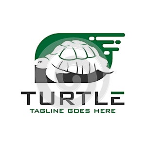 Turtle logo design template