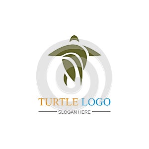 Turtle Logo design Vector Illustration template