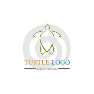 Turtle Logo design Vector Illustration template