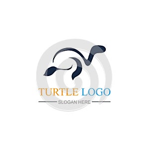 Turtle Logo design Vector Illustration template