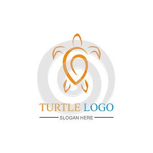 Turtle Logo design Vector Illustration template