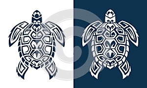 Turtle logo graphic design concept white and blue background.