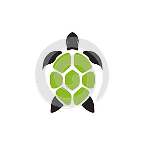 Turtle logo icon design vector template