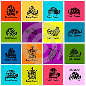 Turtle logo set for your design