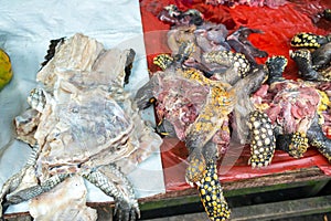 Turtle Meat in a Market in Iquitos, Peru photo