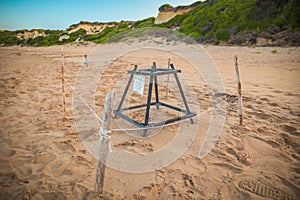 Turtle nest. Loggerhead sea turtle nesting site. Special constructions protected turtles` egg on Gerakas - very popular