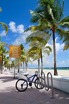 Turtle nesting beach, Fort Lauderdale, Florida USA