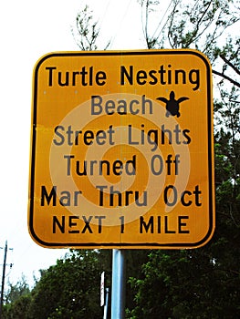 Turtle Nesting Street Sign