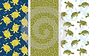 Turtle patterns