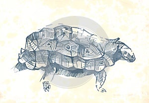 Turtle pen drawing sketch