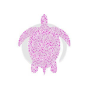 Turtle in pink design