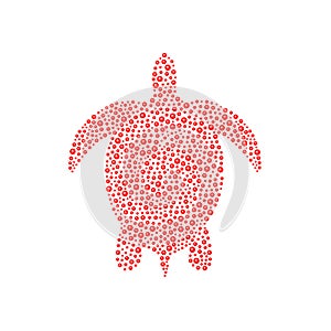 Turtle in red design