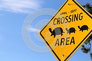 Turtle Rescue holidays- Turtle crossing sign