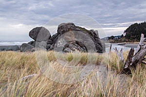 Turtle rock, Gold Beach, Oregon photo