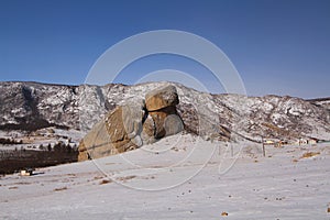 Turtle Rock in Mongolia