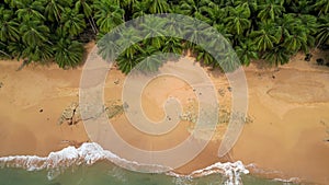 Turtle sanctuary beach with palm trees and a distant hill, Sao Tome and Principe, Africa