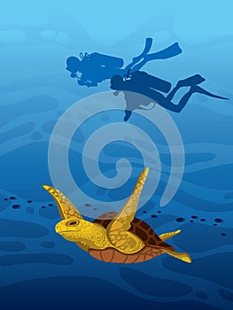 Turtle, scuba divers and underwater sea