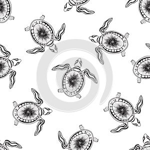 Turtle seamless pattern. Marine reptile swimming over white background